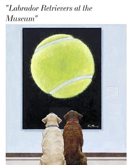 lab dogs at museum.jpg